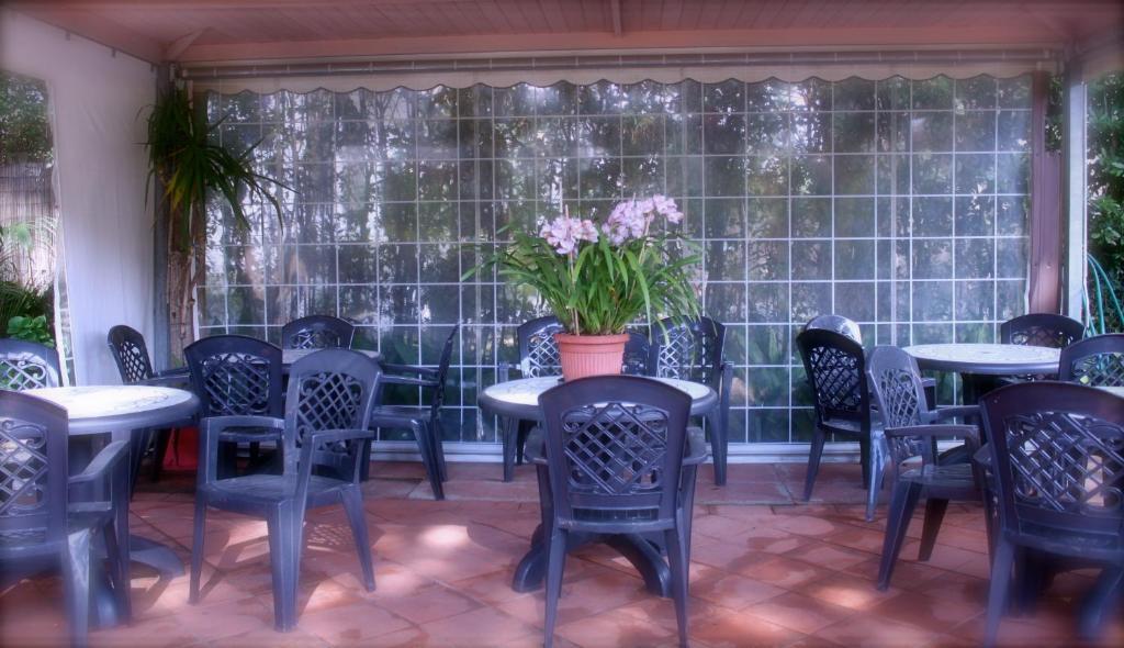 Hotel Manuela Cinquale Buitenkant foto